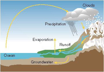 The Hydrologic Cycle